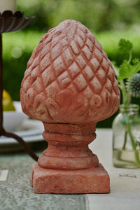 Provence Pine Cone - Honeychurch