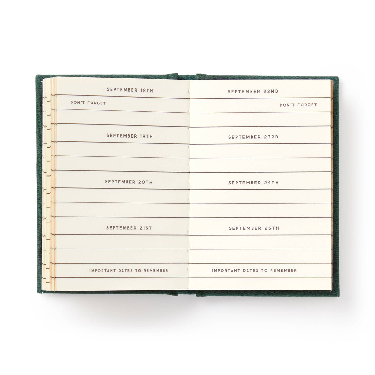 If I Forget Tiny Diary