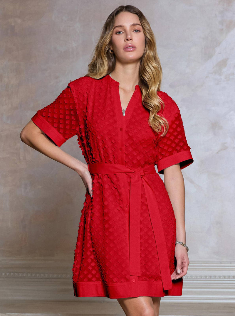 3D Floral Button Down Mini Dress