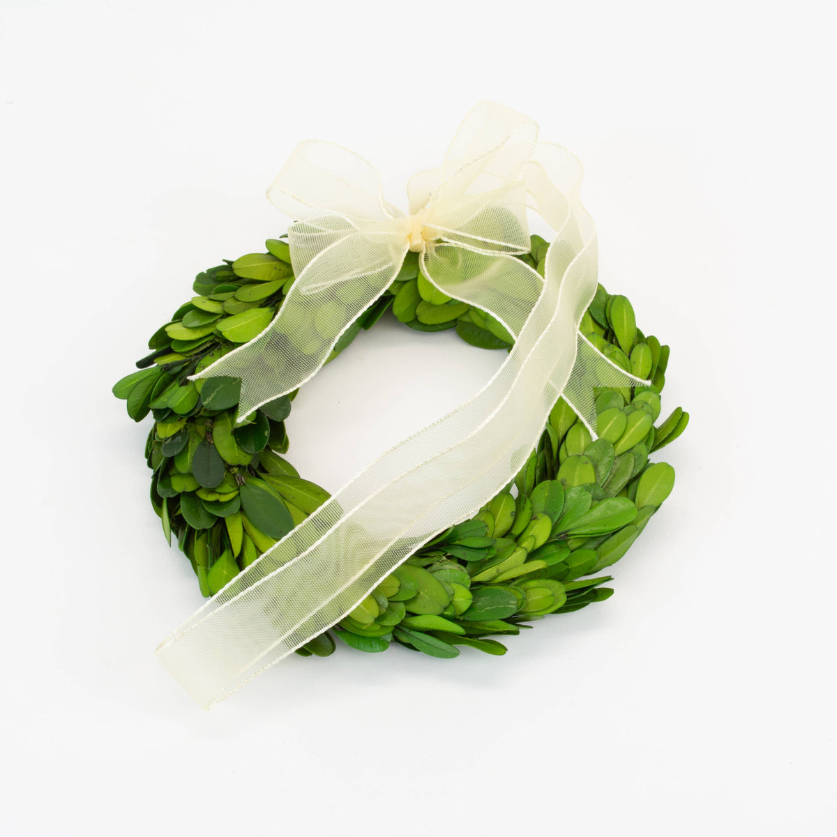 Preserved Boxwood Wreath - 6 Inch
