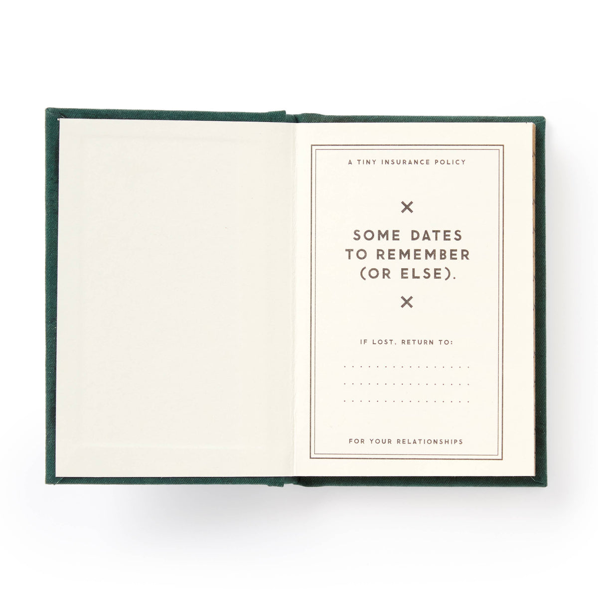 If I Forget Tiny Diary