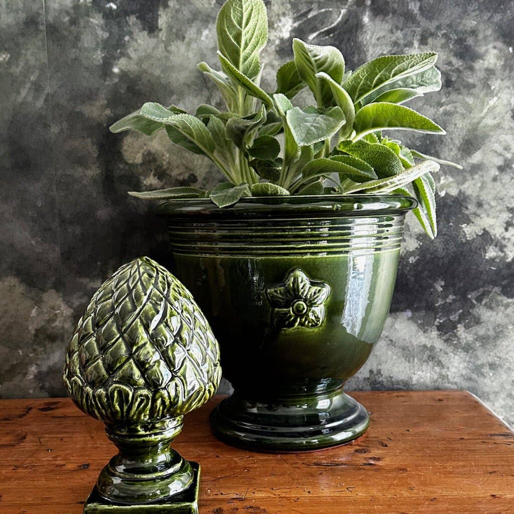 Provence Pine Cone - Honeychurch