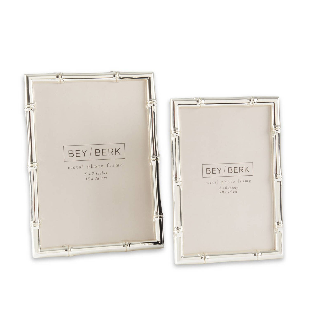 Silver Bamboo Design Frame