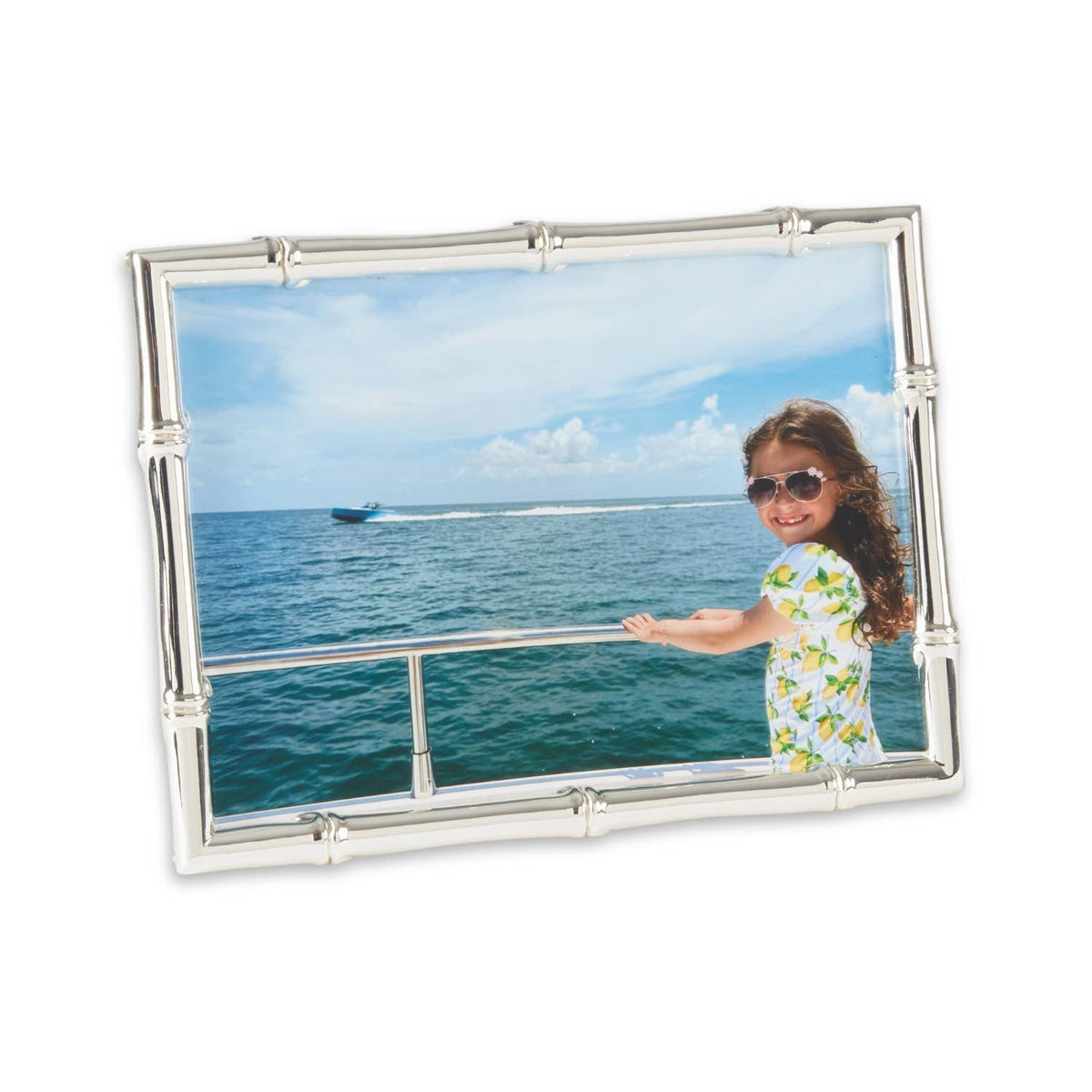 Silver Bamboo Design Frame
