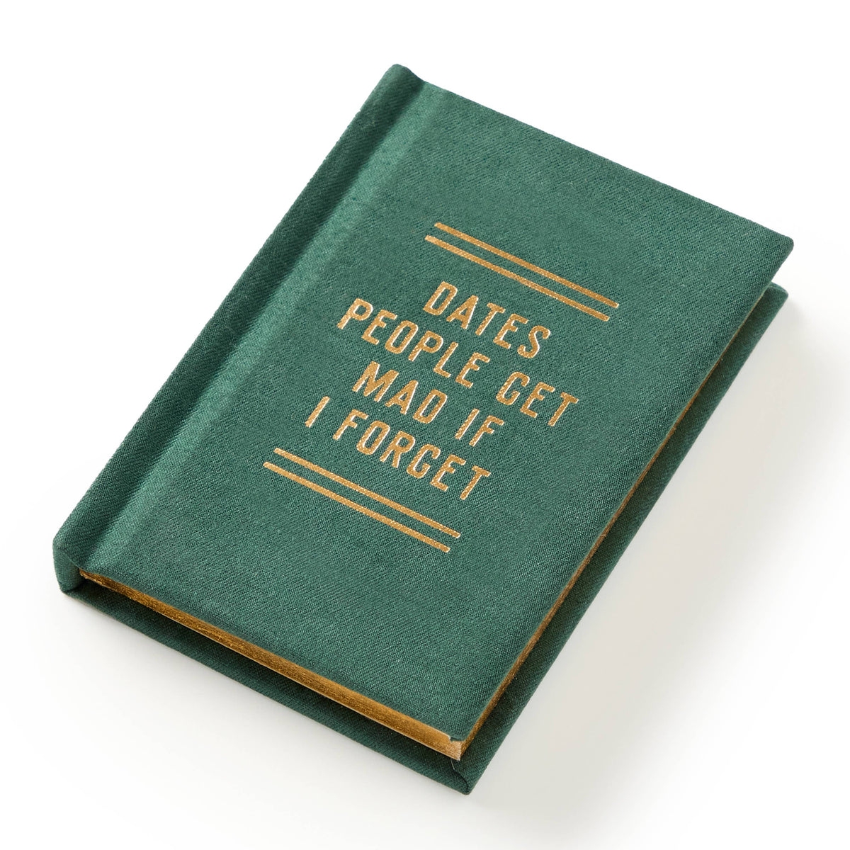If I Forget Tiny Diary