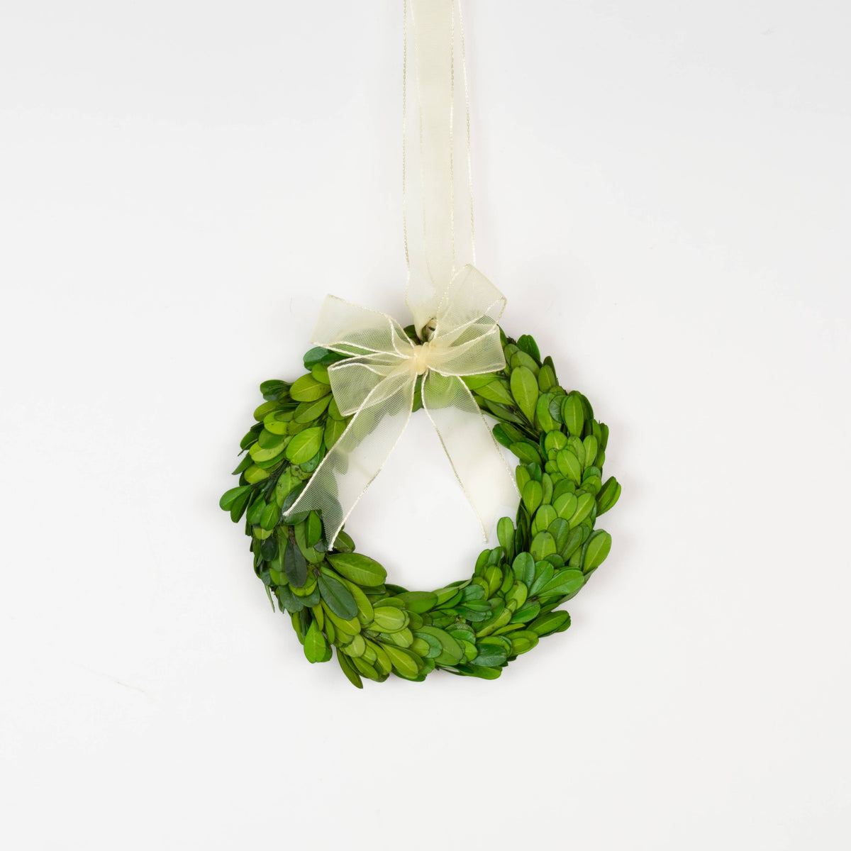 Preserved Boxwood Wreath - 6 Inch