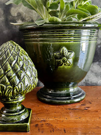Provence Pine Cone - Honeychurch