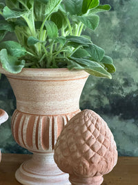 Provence Pine Cone - Honeychurch
