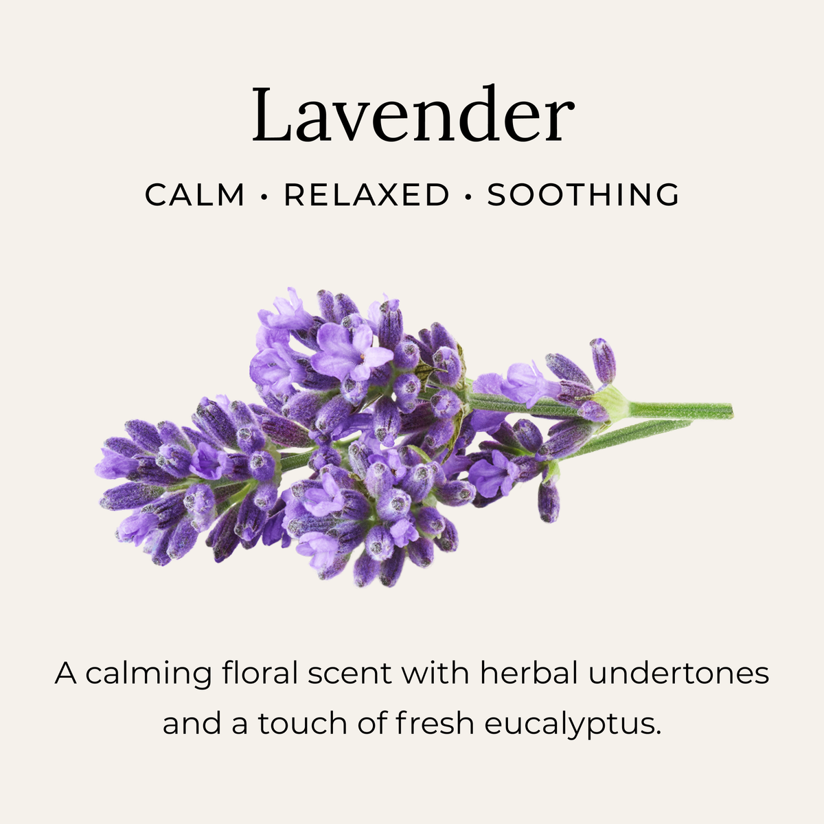 Lavender Deodorant Cream